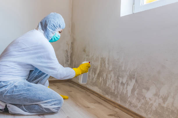 Commercial Mold Remediation assessment for commercial property in Frankfort