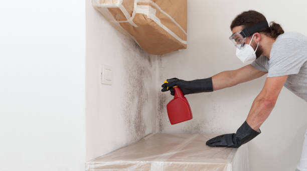 Attic Mold Remediation treatment on roof deck in Frankfort